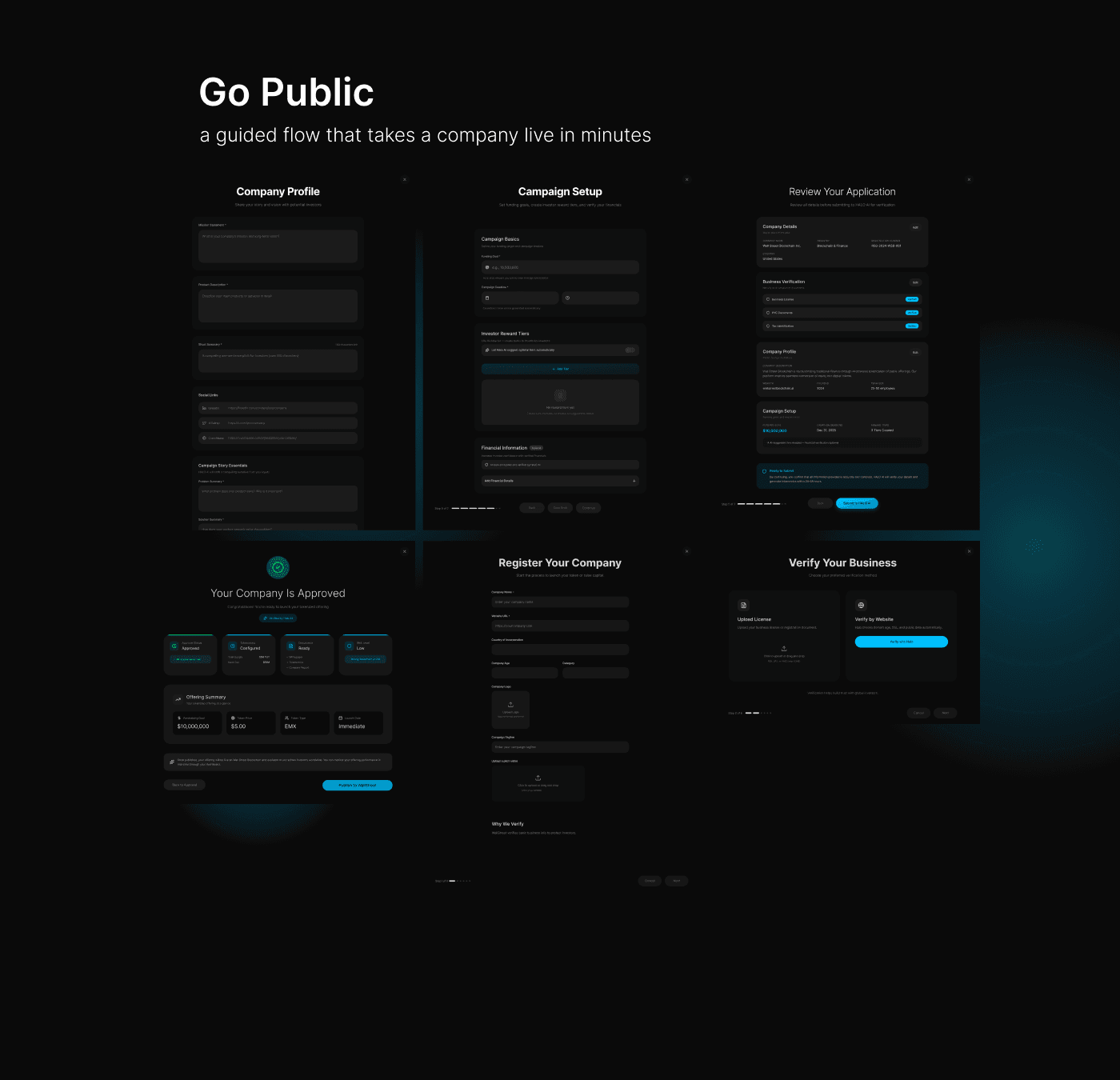 The guided Go Public flow, including company profile, campaign setup, verification, review and approval screens.